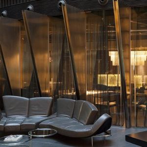 Polished Electroplated Stainless Steel Wire Alphamesh Ring Mesh