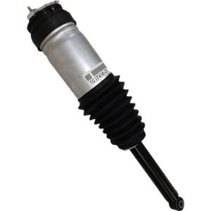 RWD Rear Tesla Model S 2016-2019 Air Suspension Shock 1067466-00-C
