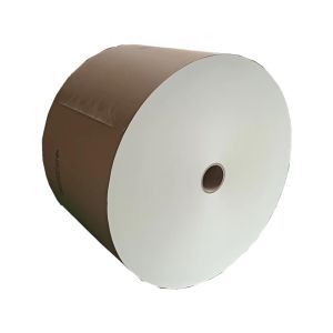 Cheap PE Coated Paper Roll Food Grade Oilproof Non Fluorescence Paper with Customized Core Size for Food Container Production for sale