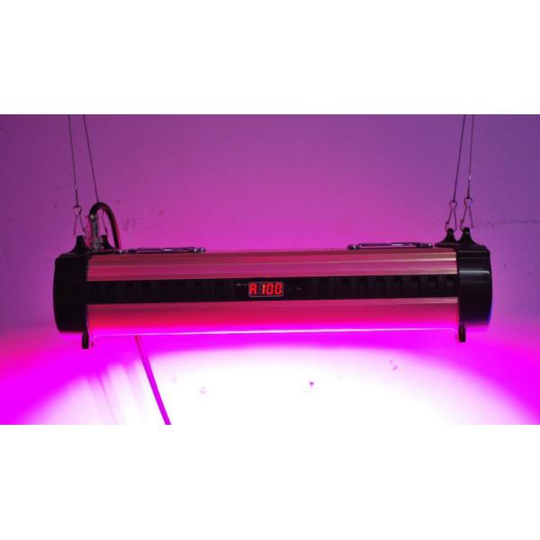 Quality all-in-one 250w dimming and timing LED grow light ,cidly PT 300w LED grow light wholesale