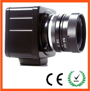 Cheap 1/3&quot; 0.8MP Color USB Microscope CCD Camera for sale