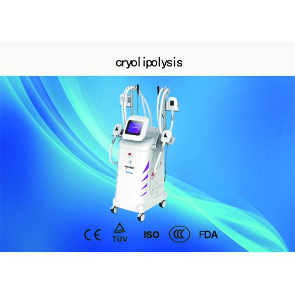 Quality Vertical Cryolipolysis Slimming Machine , 4 - Handle Type Fat Reduction Equipment wholesale