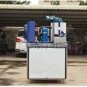 high Accuracy Flake Ice Making Machine Solar System For Fish Keeping Danfoss
