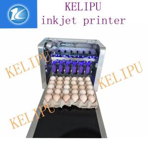 Egg Inkjet Coding Equipment / Continuous Ink System Printer With Six 45ML Ink