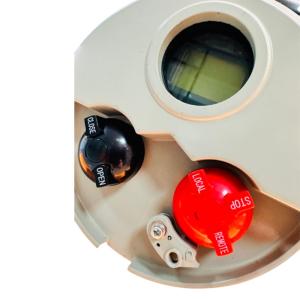 Explosion Proof Intelligent Electric Actuator Multi Turn 200NM IP67