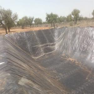 Thickness 0.1mm-3.0mm Geomembrane Dam Liner 0.5mm 0.75mm 1mm for Ponds and Pools