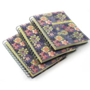 China Frosted Spiral Notebook Printing Plastic Cover Bound Diray Custom 65C on sale