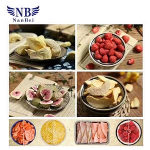 Chemical Lab Freeze Dryer Cold Trap Temperature -55degree CE Certification