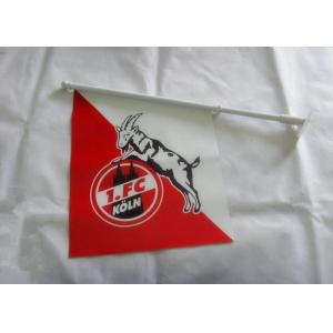 Professional Wall Mounted Flag Pole PVC 40*60cm Irregular Shape With Bracket