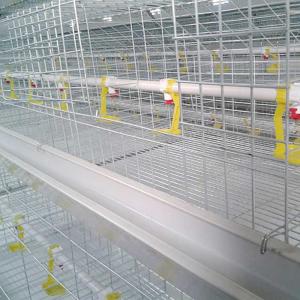 China Husbandry Livestock Poultry Chicken Cage 4 Tiers 8 Doors High Durability on sale