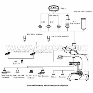Infinity Trinocular Biological Microscope 6V 30W Halogen Lamp A12.0204