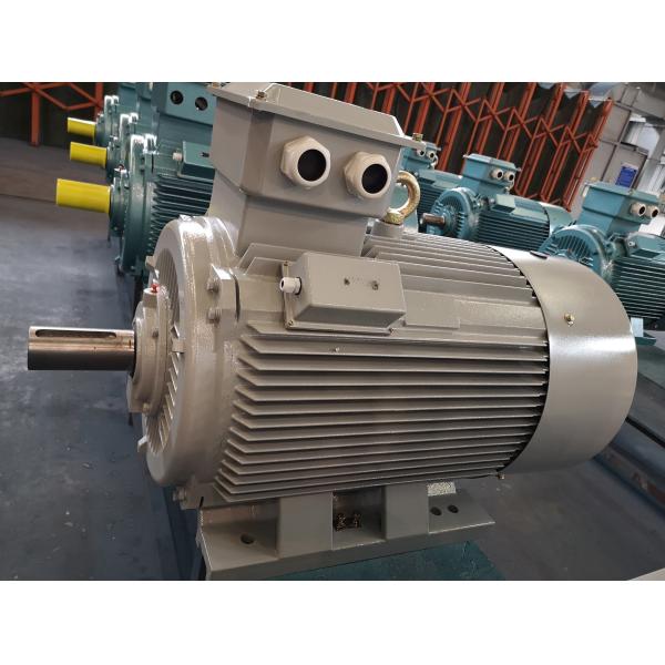 Quality IE5 Industrial AC Motors Asynchronous AC Electric Motor 30kw Three Phase wholesale
