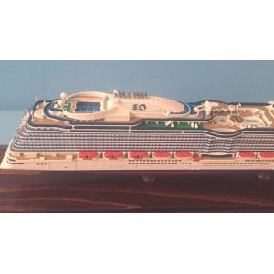Custom Handcrafted Model Ships With Regal Princess Cruise Ship Series