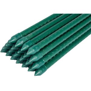 China Shrubs 180cm 11mm Green Cane Garden Sticks For Plants on sale
