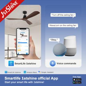 NO Private Mold High Airflow Ceiling Fan with Remote Control Wind Type Standard