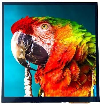 Quality                    7.5inch 800X800 IPS Highlight Square LCD Display with Pcap & Optical Bonding              wholesale