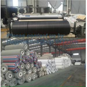 PP ground cover,weed barrier Fabrics, weed mat in strawberry garden, Agricultura