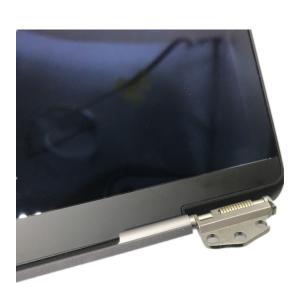 2560x1660 IPS Macbook Pro A2159 Screen Replacement