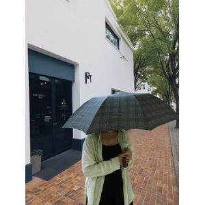 Metal Compact Umbrella 20.5Inches 8Ribs 2 Folding With Auto Open Mini Umbrella