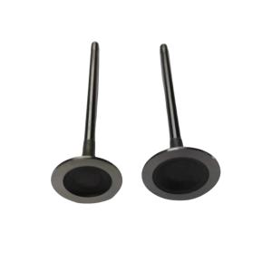 Auto Parts 1.6T Engine Intake And Exhaust Valves For Peugeot 3008 207CC 308CC