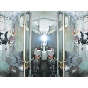 CE Certificated Poultry Slaughtering Equipment Duck Poultry Slaughter Line 600KG
