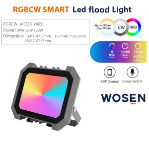 Outdoor 30W 50W 100W RGB LED Flood Light With Dmx Control EMC