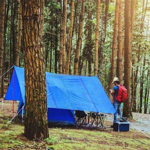 Lightweight and Heavy Duty Polyethylene Tarp for US Market 500D-1500D Yarn Count