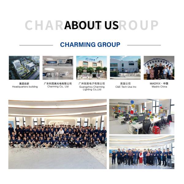 RDM Control Mode Outdoor IP65 LED Tube Light High Brightness LED