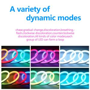 Programmable Flexible Led Neon Rope , Waterproof Flexible Strip Lighting Dream