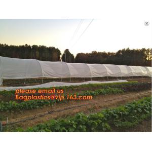 30 mesh anti insect farm nets for greenhouse,100% pe transparent color
