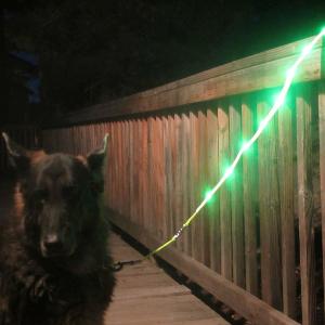 Super Bright Illuminated Dog Leash Runs Over 7 Hours For Dogs Walking Training