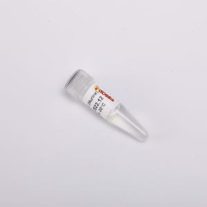 Cheap GDSBio Reverse Transcriptase PCR Reagents 20000U Rnase Inhibitor Chemical for sale