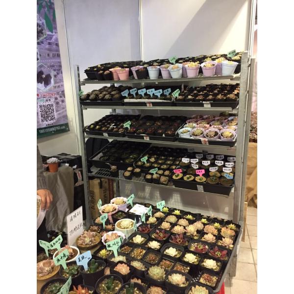 4 Castors Garden Plant Display Shelf , L1350mm Heavy Duty Plant Pot Trolley