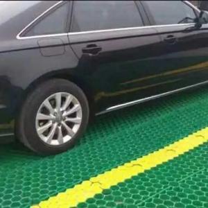 Black Green Plastic Grass Paver Grid Suitable for All Weather Conditions