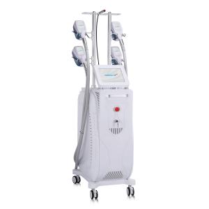 Vertical Cryolipolysis Fat Slimming Machine For Weight Loss