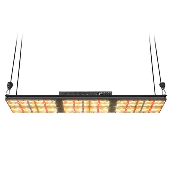 Full Spectrum 320W LED Grow Light Samsung Lm301H Quantum Board UV IR
