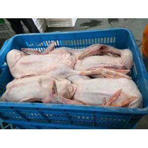 Chicken Goose Turkey Duck Slaughter Machine 1000BPH Poultry Processing Machine
