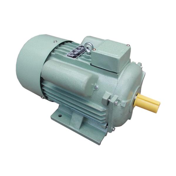 B / F Insulation Class Single Phase Induction Motor 220 Volt For Medical