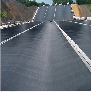 Waterproof Geomembrane for Agriculture Fish Pond Shrimp Liner 1mm 2mm Industrial