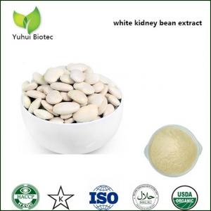 China white kidney bean extract powder phaseolamin,phaseolin,phaseolamin,white kidney bean p.e. on sale