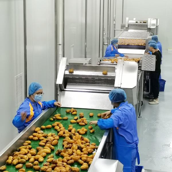 Energy-Saving High Efficiency Water-Saving Mango Processing Line and Mango Pulp