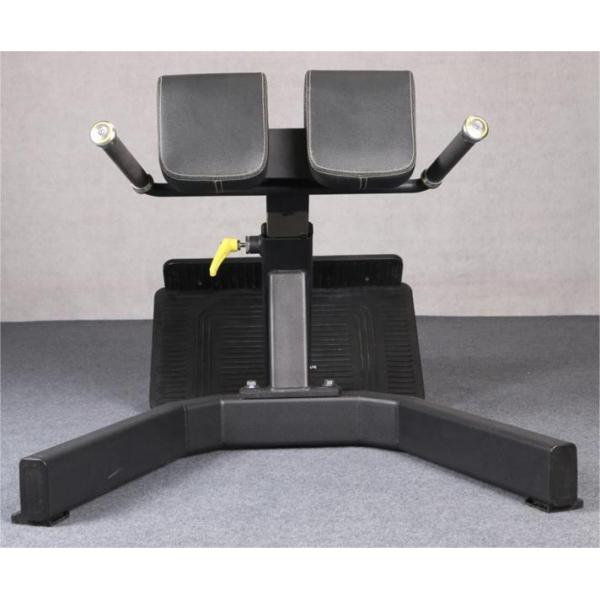 High Quality 45 Degree Back Extension Roman Chair Bench Machine Fitness Equipment Back Extension Roman Chair