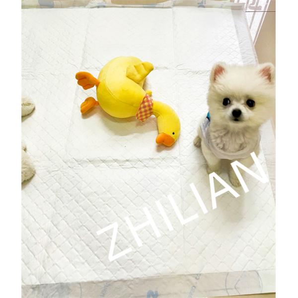 450mm Width Training Pad Pet Pad Machine 200 m/min