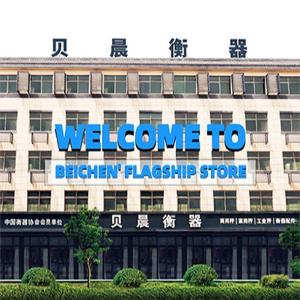 ABS stainless steel 300kg Digital Hanging CRANE SCALE Weighing Scale with LCD