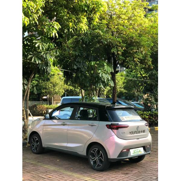 2023 Model Pure Electric Car YOUNG 302km Range 0.5h Fast Charge 4 Seats Full Load Weight 1080KG Maximum Power 35 100km/h