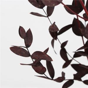 Modernization Style Preserved Foliage Green Environmental Protection