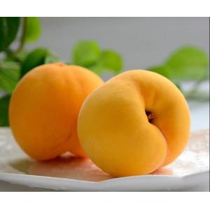 IQF Frozen Yellow Peach Dice, peeled & pitted, 10*10*10 mm, 15*15*15 mm