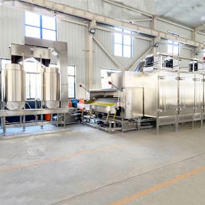 Automated Peanut Peeling Machine with High Blanching Quality and No Damage for