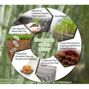 Compostable Sugarcane Bagasse Paper Round Plates 9 Inch 9" Greaseproof And