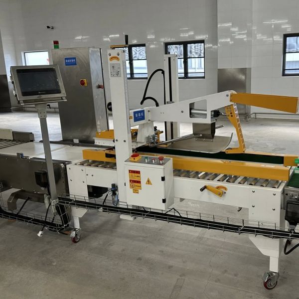 Fully Automatic Vacuum Packing Machine with Rustproof Packaging for Versatile